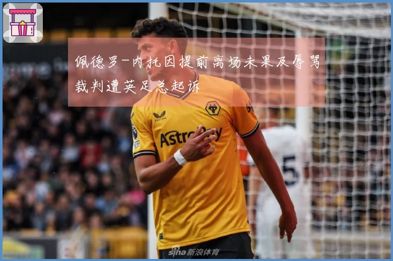 佩德罗-内托因提前离场未果及辱骂裁判遭英足总起诉