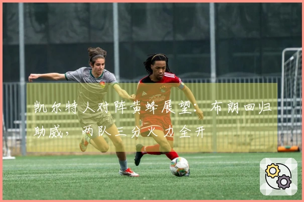 凯尔特人对阵黄蜂展望：布朗回归助威，两队三分火力全开